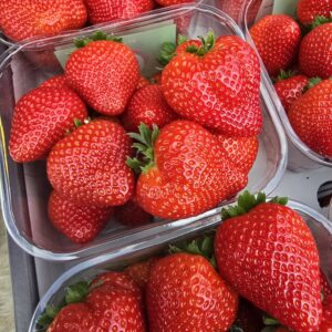 Aardbeien